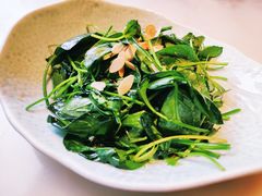 清汁孜然菠菜-枚青·临安酒肆(腾飞大厦店)