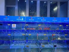 -蟹老板的海鲜