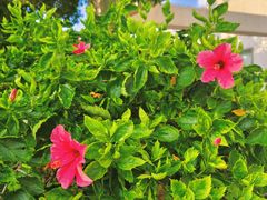 -广东药科大学(广州校区大学城校园)