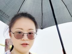 -广东惠东海龟国家级自然保护区