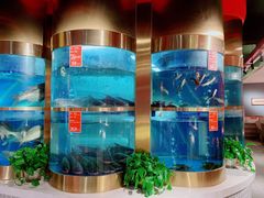 -蜀滋香鲜鱼美蛙火锅(339店)