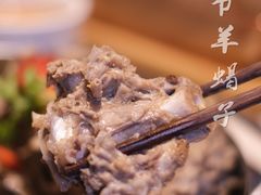 -浩爷羊蝎子火锅(望京店)
