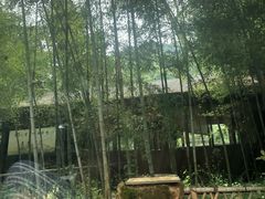 -黄公望隐居地