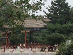 -北陵公园