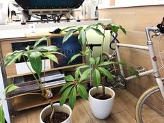 -Onirii Coffee(长乐路店)