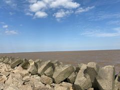 -南汇嘴观海公园