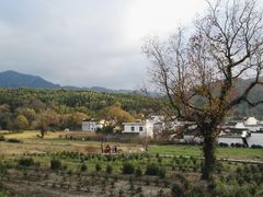 -塔川景区