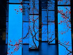 -中国湿地博物馆