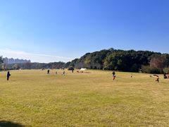 -昆山城市生态森林公园