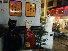 -猫咪博物馆(顶澳仔猫街店)