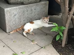 -福州开元寺
