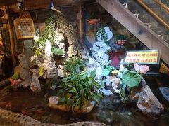 -多哥水傣味餐厅(司马巷店)