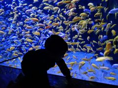 -成都浩海立方海洋公园