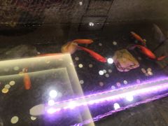 -庐州太太(双岗店)