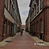 比迪士尼还要梦幻的世界！（如果不是打工人的话）