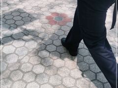 -林记木担鱼丸汤(鼓浪屿店)