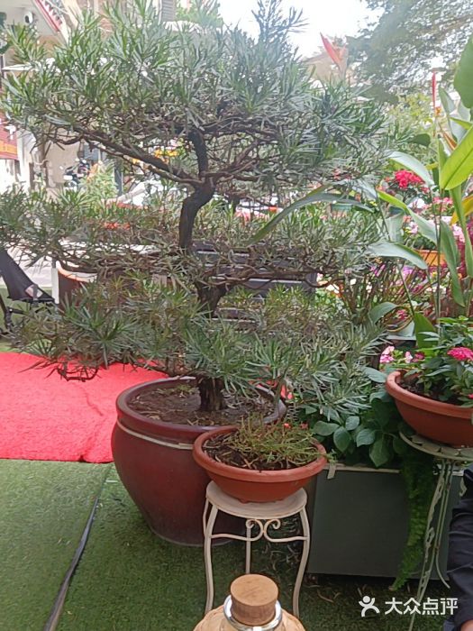 山水茶艺馆·点心粤菜·30年老字号图片