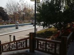 -燕郊植物园