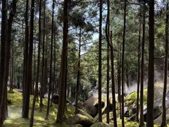 -玉苍山国家森林公园