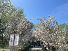 -元大都城垣遗址公园