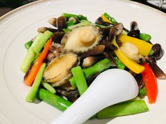 鸡枞鲍鱼仔-熙春园餐厅