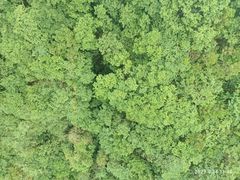 -丹山赤水风景名胜区