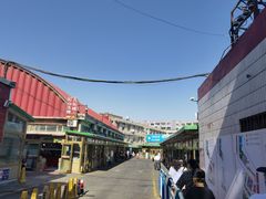 -新疆红山干果市场