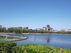 -莲花池公园