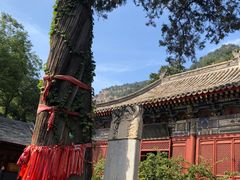 -北京上方山国家森林公园