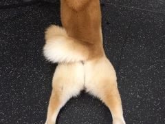 -YCHL Studios健身工作室(市二宫店)