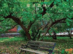 -北马山庄植趣咖啡