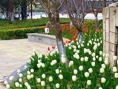 -杭州师范大学(下沙校区)