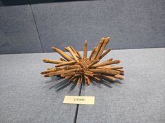 -大连自然博物馆