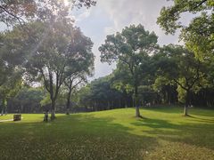 -新洲生态园