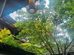 -成都杜甫草堂博物馆