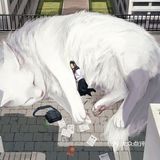 一组动物主题插画作品欣赏🌸🌸