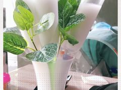 -探窝·竹笙椰子鸡(杨箕店)