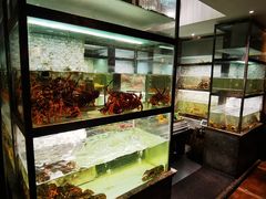 -甄御•海鲜新青岛菜(麦岛店)