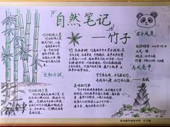 -上海昆虫博物馆