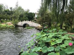 -武清南湖绿博园