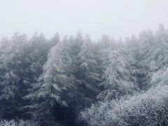 -苏木山森林公园