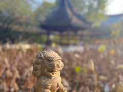 -上海醉白池公园