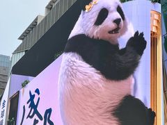-合景·悠方(成都店)
