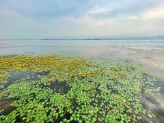 -西昌邛海湾柏樾酒店(原邛海湾柏栎度假酒店)