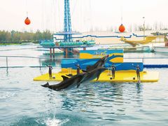 -秦皇岛乐岛海洋王国