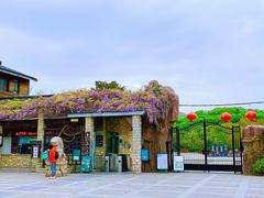 -白马涧龙池景区