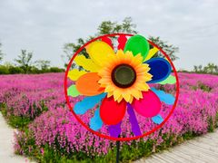 -花开海上生态园