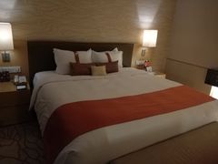 -天津水游城丽筠酒店