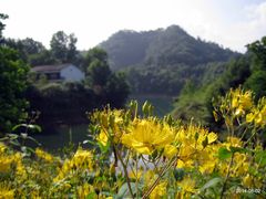 -千岛湖龙川湾