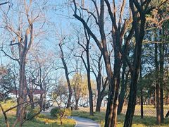 -长辛店二七公园